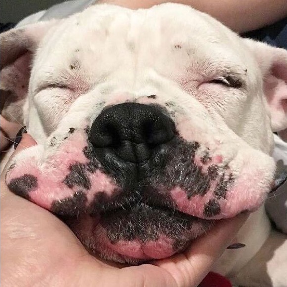 Meet your Posher, Hailey! 😊💕🌸 - Picture 3 of 3